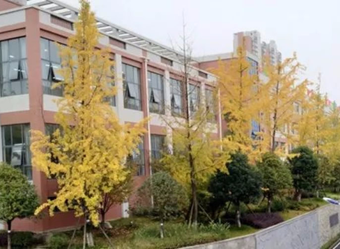 【畢節東辰】停課不停學(xué)（四）丨疫情防控不停止 宅家運動(dòng)不停歇 ——畢節東辰實(shí)驗學(xué)校體育老師教你宅家也能這樣運動(dòng)